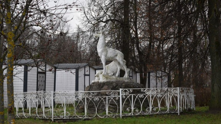 В Городском саду этой зимой установят две новогодние ели - новости ТИА