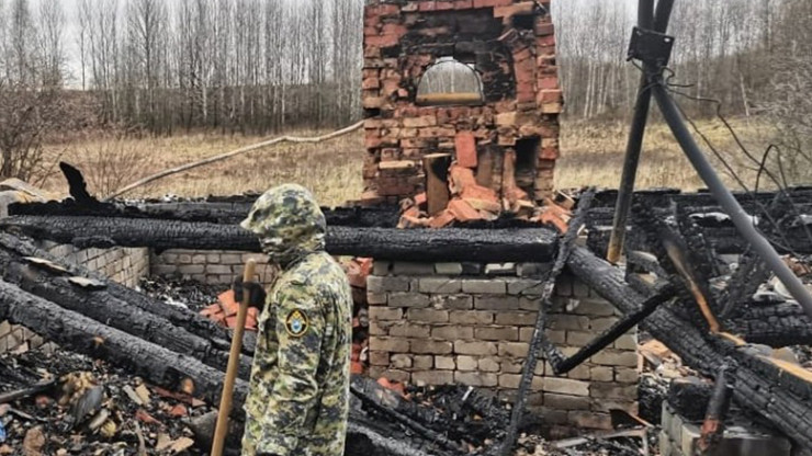 Осудили жительницу Сонковского района, которая заживо сожгла своего сожителя - новости ТИА