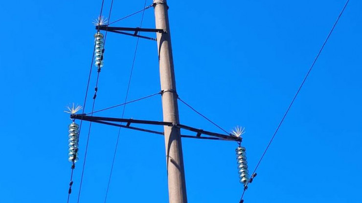 Энергетики "Россети Центр" - "Тверьэнерго" устанавливают птицезащитные устройства на линиях электропередачи - новости ТИА