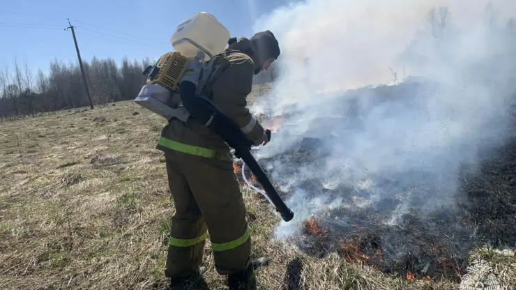В Тверской области горело поле площадью более 21 гектара - новости ТИА