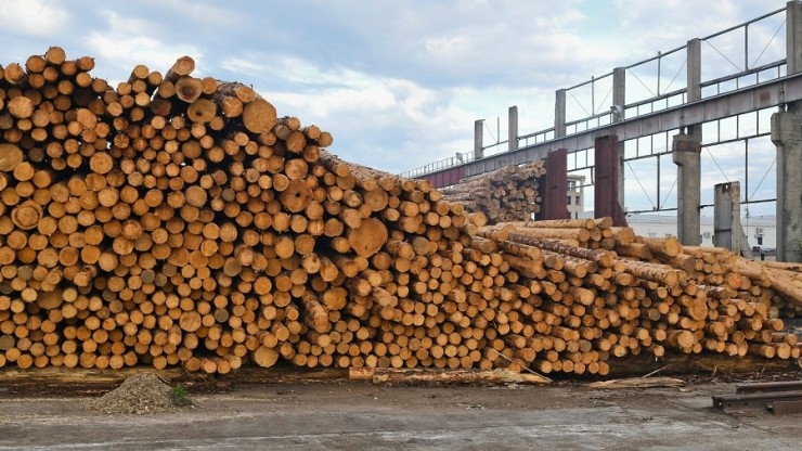 Из Тверской области отправили древесину, а закупили опилки - новости ТИА