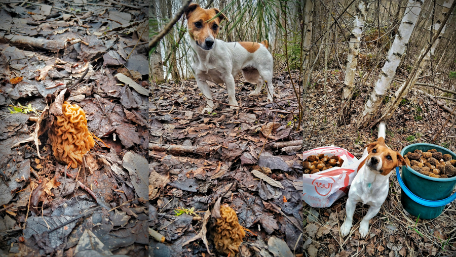Фото: Алексея Кошелева