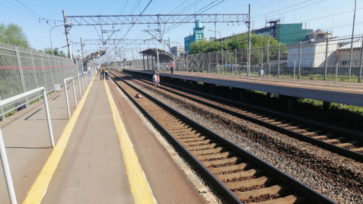 В Тверской области мужчина попал под поезд - ему отрезало голову - новости ТИА