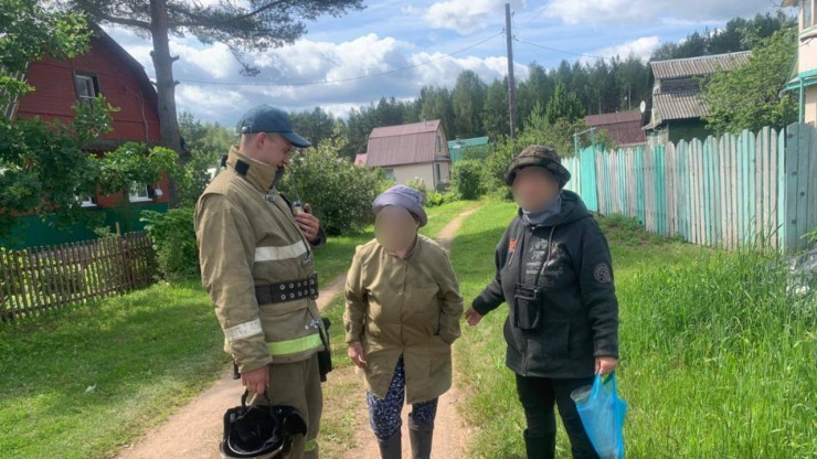 В Тверской области женщина пошла за грибами и заблудилась в лесу - новости ТИА