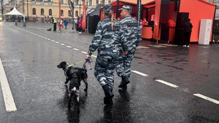 Тверские полицейские-кинологи отмечают профессиональный праздник - новости ТИА