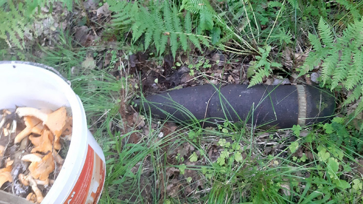 В Тверской области грибники нашли снаряд времён войны - новости ТИА