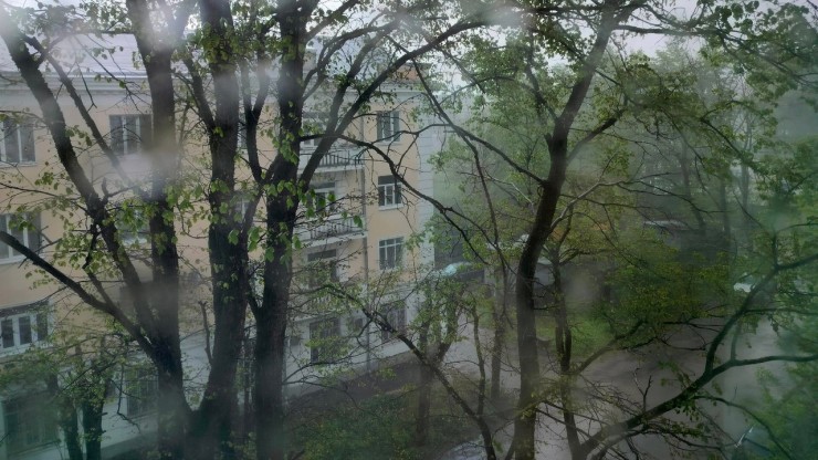 В Тверской области объявлено штормовое предупреждение - новости ТИА