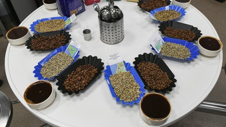 Миф о "бодрящем коктейле": врач объяснил, почему кофе не спасает от опьянения - новости ТИА