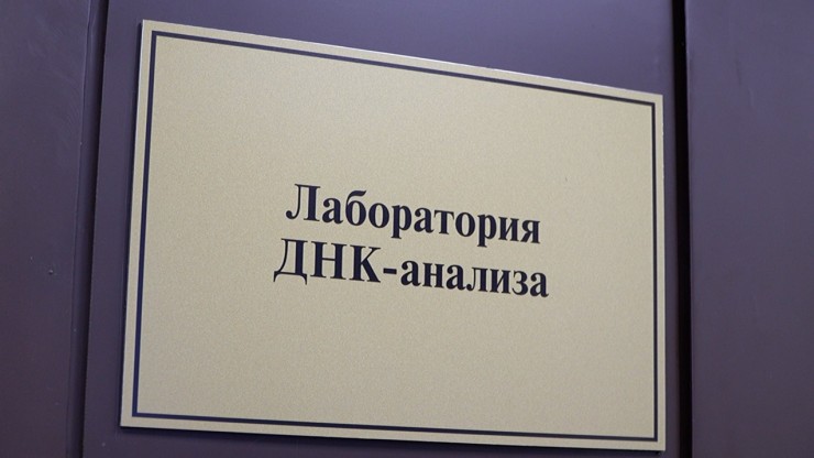 В Твери в говяжьих сосисках нашли ДНК свиньи - новости ТИА