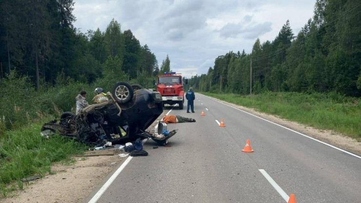 В Тверской области за пьяное ДТП с гибелью человека осудили водителя - новости ТИА