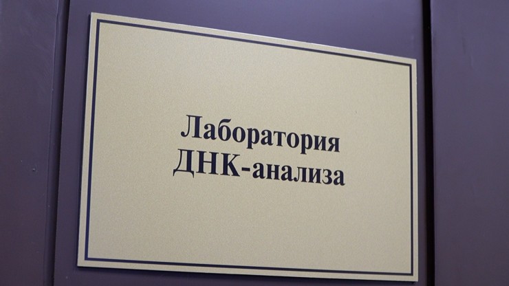 В Твери у домашнего котёнка нашли смертельно опасный вирус - новости ТИА