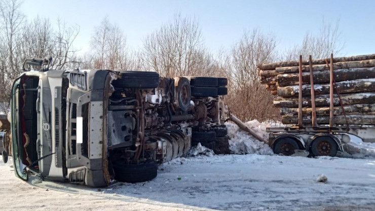В Тверской области опрокинулся лесовоз, пострадал водитель - новости ТИА
