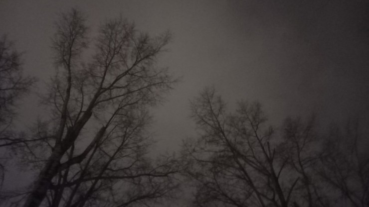 Над Тверской областью вечером сбили еще один вражеский беспилотник - новости ТИА