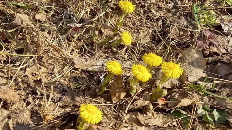 Синоптики рассказали, ждать ли дождей на новой неделе в Тверской области - новости ТИА