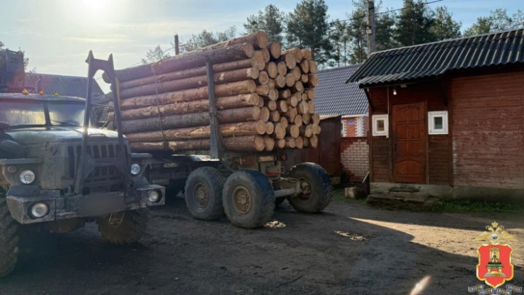 В Тверской области раскрыли крупную нелегальную вырубку леса на 30 миллионов рублей - новости ТИА