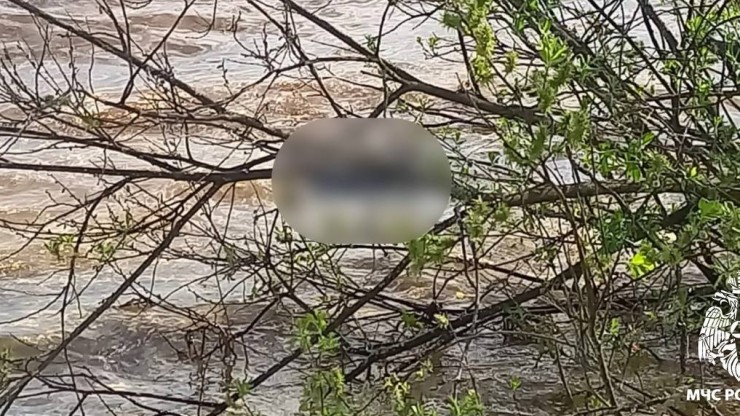 В Вышневолоцком водохранилище обнаружили труп мужчины - новости ТИА