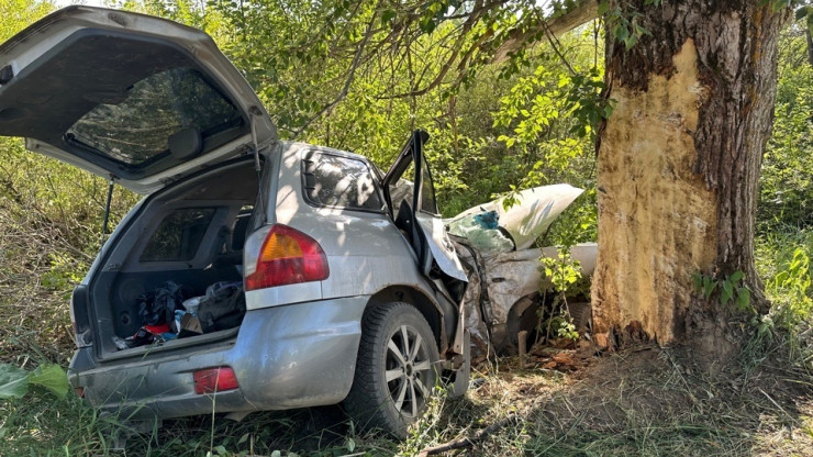 Два человека погибли в столкновении авто с деревом под Тверью - новости ТИА