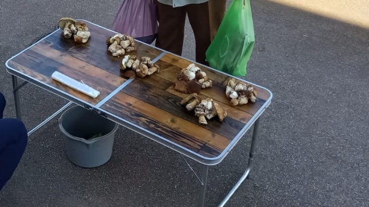 Цены кусаются: почём белые грибы продают на тверских рынках - новости ТИА