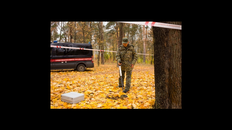 В Тверской области в лесу нашли кости человека - новости ТИА