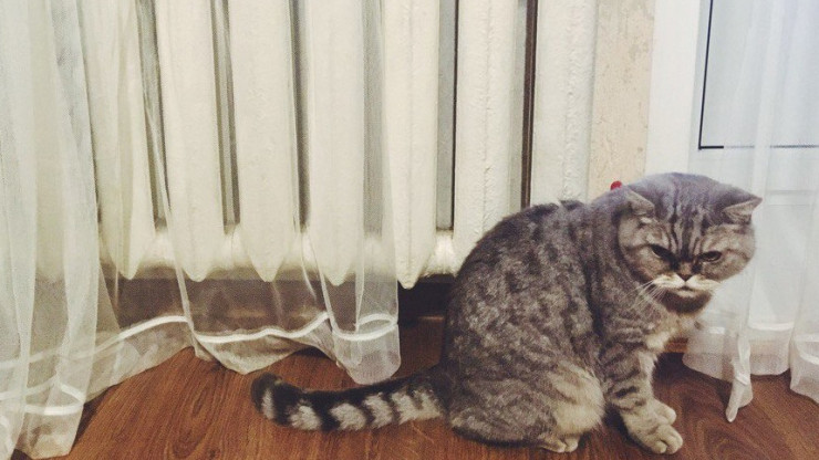 В Заволжье из-за дефекта на теплосетях могут быть проблемы с отоплением - новости ТИА