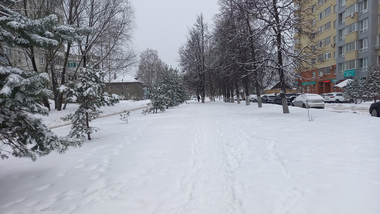 Жителей Тверской области предупреждают о надвигающемся снегопаде - новости ТИА