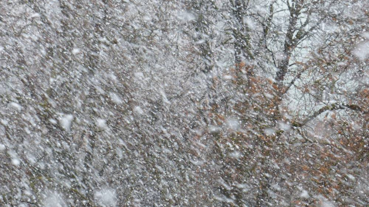 В Тверской области начинаются похолодание и снегопады - новости ТИА