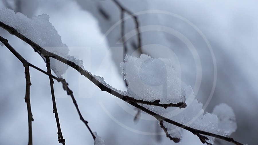 Фото из архива ТИА