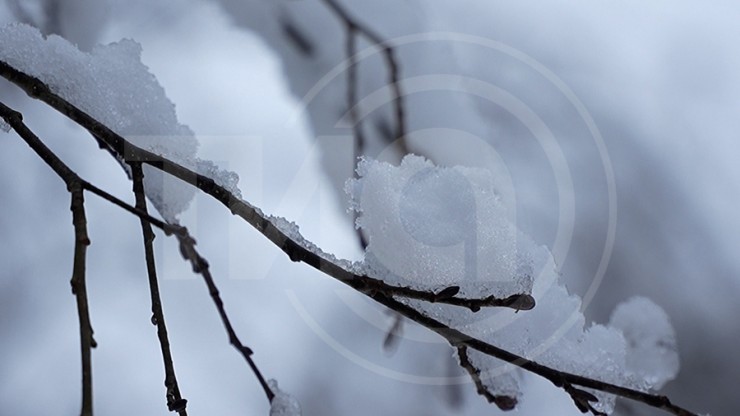 Морозы крепчают: в Тверской области похолодает до -24 градусов - новости ТИА