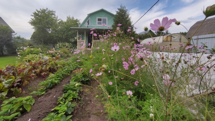Врач перечислила опасные инфекции, с которыми могут столкнуться дачники в сезоне - новости ТИА