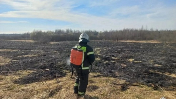 Губим природу и себя: ученый пояснил, почему нельзя жечь траву в полях - новости ТИА