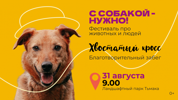 Названа новая дата фестиваля про животных и людей в тверском парке Тьмака - новости ТИА