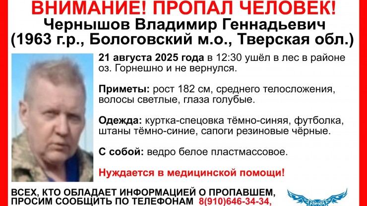 В Тверской области мужчина ушел с ведром в лес и пропал - новости ТИА