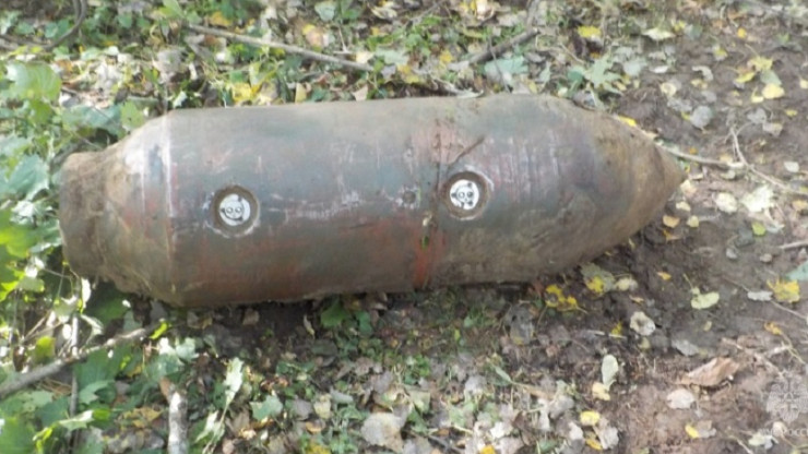 В деревне в Тверской области нашли четыре авиационные бомбы - новости ТИА