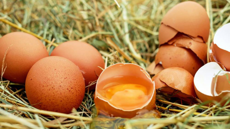 Тверьстат: стоимость десятка яиц перевалила за 109 рублей - новости ТИА