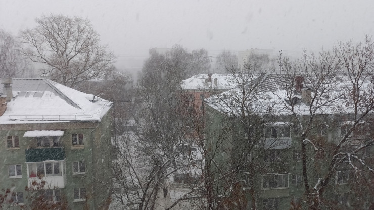 В Тверской области потеплеет до +2, пройдут дожди и мокрый снег - новости ТИА