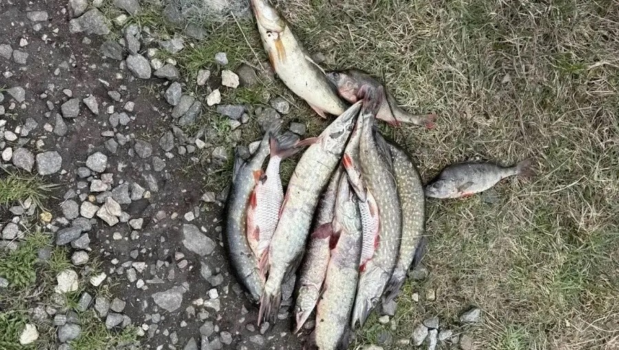 Фото: УМВД России по Тверской области