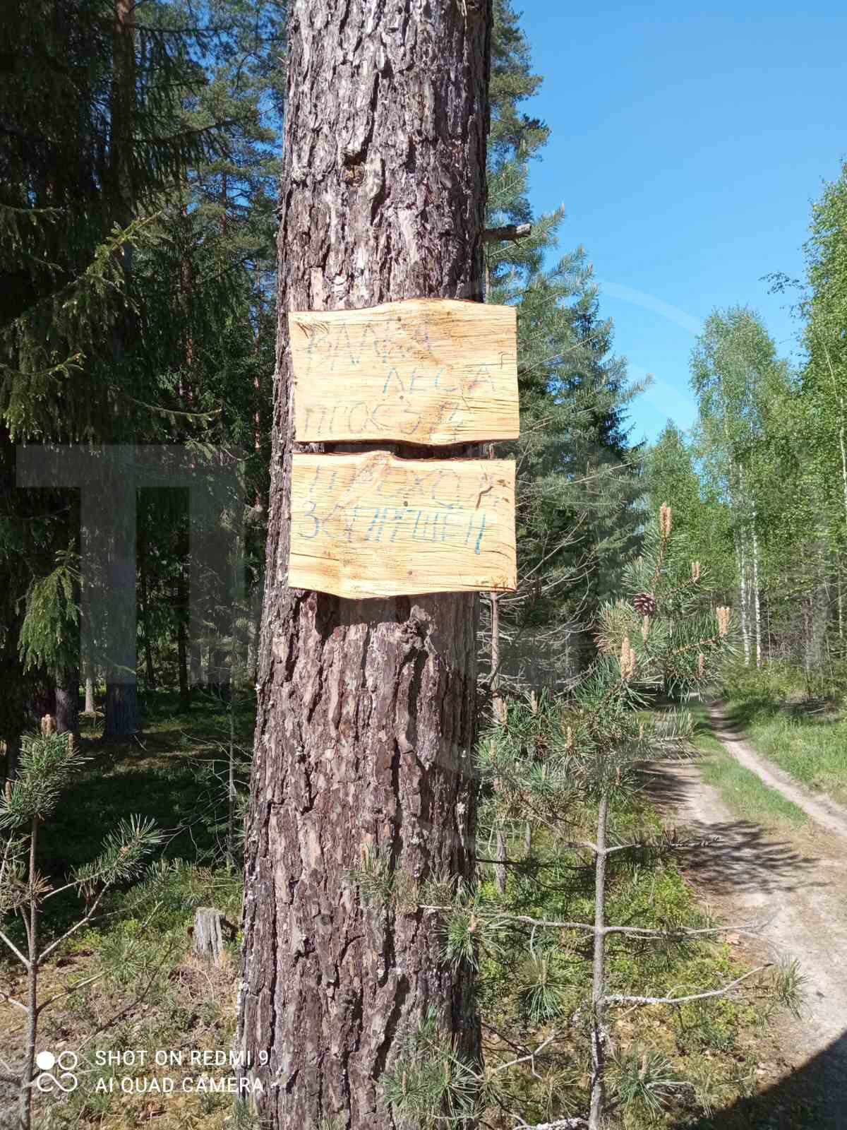 Проход закрыт. Идет валка леса