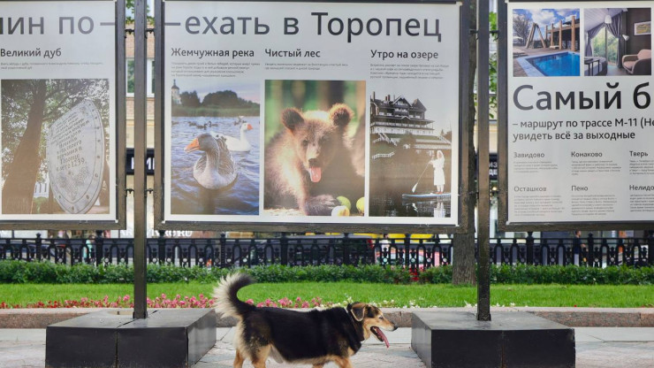 В Москве открылась фотовыставка, посвящённая 950-летию Торопца - новости ТИА