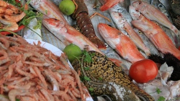 Врач назвала продукты, без которых рано стареют - новости ТИА