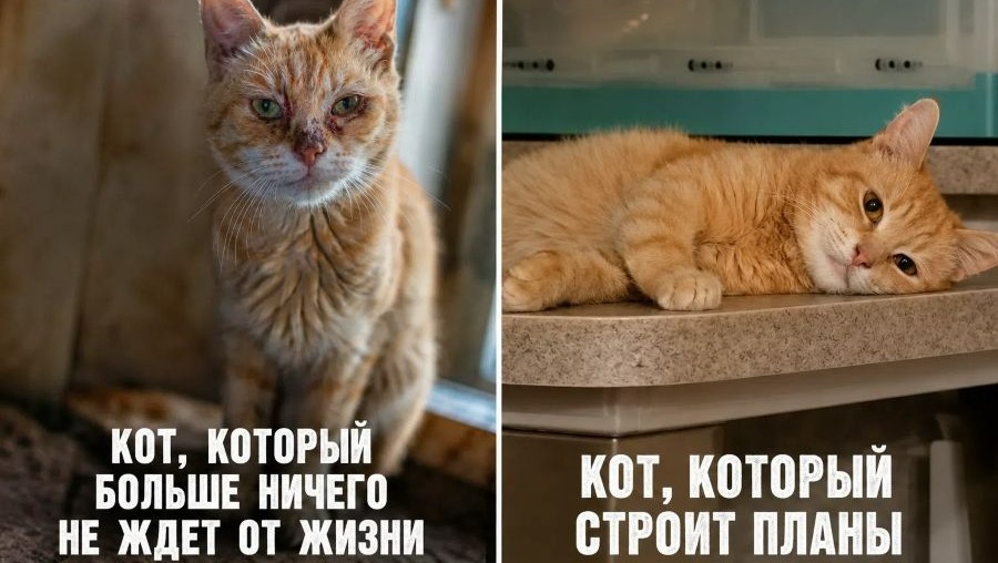 Фото: «Клуб живых историй»