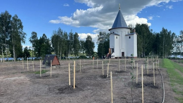 У монастыря в Калязинском округе высадили вишневый сад - новости ТИА