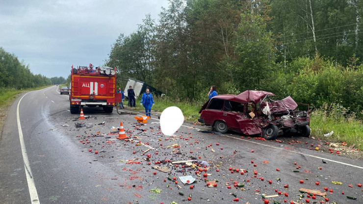 В Тверской области в аварии один человек погиб, двое пострадали - новости ТИА