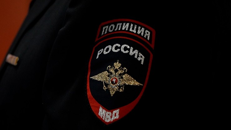 После обнаружения в квартире в Твери трупов кошек возбуждено уголовное дело - новости ТИА