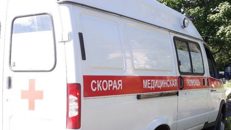 В Тверской области бойцовская собака искусала лицо и почти откусила нос ребенку - новости ТИА