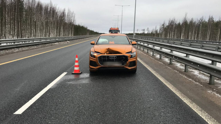 В Тверской области на скоростной трассе М-11 произошло двойное ДТП - новости ТИА