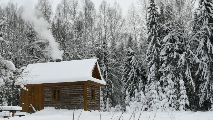 Болото, дикий лес и избушка: как в Тверской области девушка отдыхает от цивилизации - новости ТИА