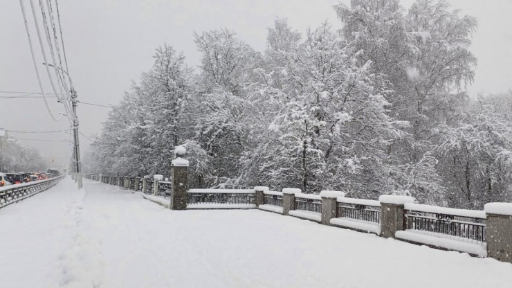 В Тверскую область на смену ядреным морозам придут сильные снегопады - новости ТИА