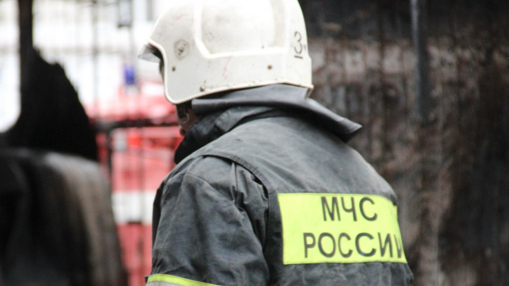 В Тверской области на пожаре погибли два человека - новости ТИА