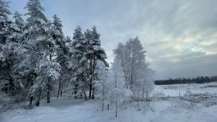 Весна опаздывает: синоптик рассказал, когда растают сугробы в Центральной России - новости ТИА