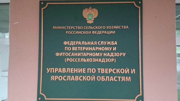 Глава Россельхознадзора объяснил необходимость убоя скота, больного пастереллёзом - новости ТИА